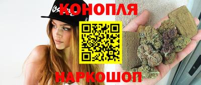 шишки Заволжье