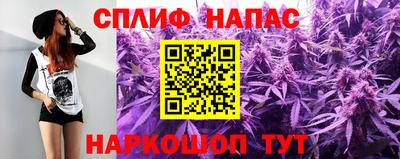 шишки Заволжье