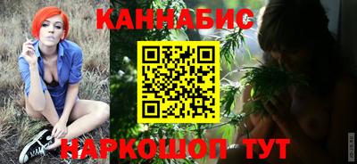 шишки Заволжье