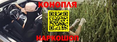 шишки Заволжье