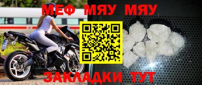 шишки Заволжье