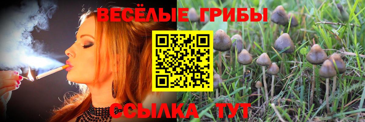 купить закладку  Галлюциногенные грибы ЛСД  Вход с VPN  Лесозаводск 